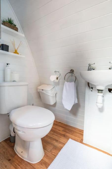 Robin Nest - Cosy Shepherd'S Hut Hideaway Callington Екстериор снимка