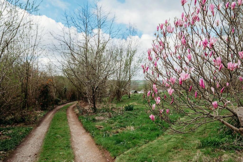 Robin Nest - Cosy Shepherd'S Hut Hideaway Callington Екстериор снимка
